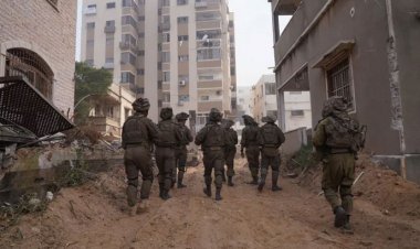 গাজায় দাফনের জায়গা নেই, কুকুরে খাচ্ছে লাশ