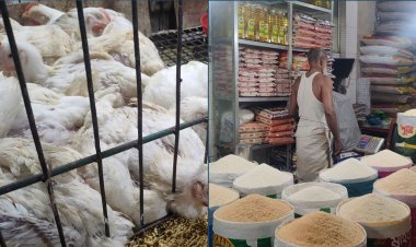 দাম কমেছে ব্রয়লার-আলু-পেঁয়াজের, বেড়েছে ডালের