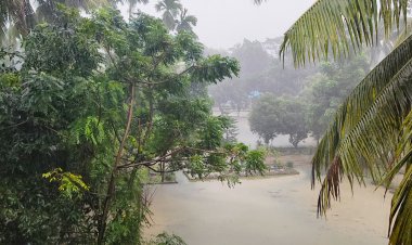 বরিশালে ১১৬ মিলিমিটার বৃষ্টিপাত, তলিয়ে গেছে সড়ক