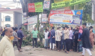 ঝোড়ো বাতাসে গা‌ছের ডাল ভে‌ঙে প্রাণ গেল ব্যবসায়ীর