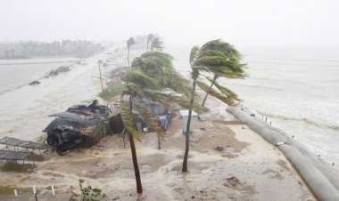 ঘূর্ণিঝড় মিধিলি : চট্টগ্রামে গাছ ভেঙে নিহত ২