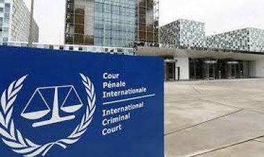 আইসিসিতে ফিলিস্তিনে যুদ্ধাপরাধের তদন্ত দাবি ৫ দেশের