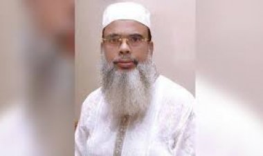 বিএনপি নেতা সালাউদ্দিন আহমেদের শারীরিক অবস্থার অবনতি