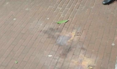 আদালতে ককটেল বিস্ফোরণের ঘটনায় মামলা