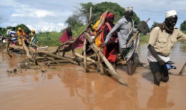  সোমালিয়ায় বৃষ্টি-বন্যায় নিহত বেড়ে ১০০