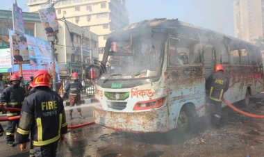  জিপিওতে শিকড় পরিবহনে আগুন