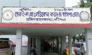  বরিশালে ডেঙ্গুতে ২ নারীর মৃত্যু, শনাক্ত ৮৯