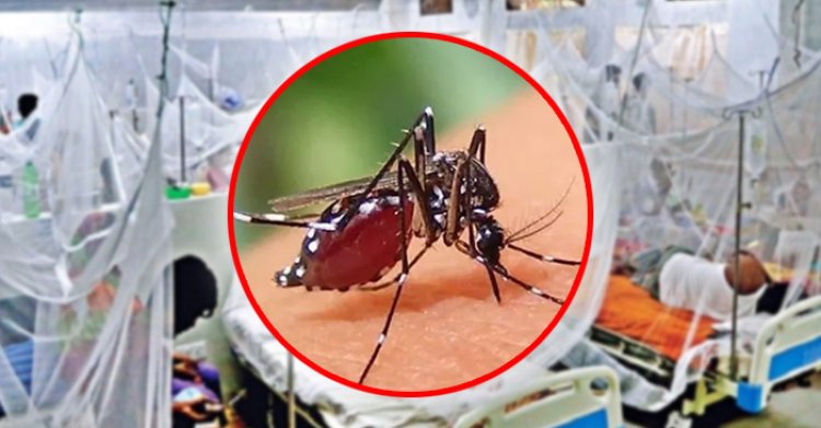 বরিশালে ডেঙ্গু আক্রান্ত বৃদ্ধের মৃত্যু, নতুন শনাক্ত ২৩৬