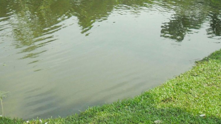 কুমিল্লায় পানিতে ডুবে ৩ বোনের মৃত্যু
