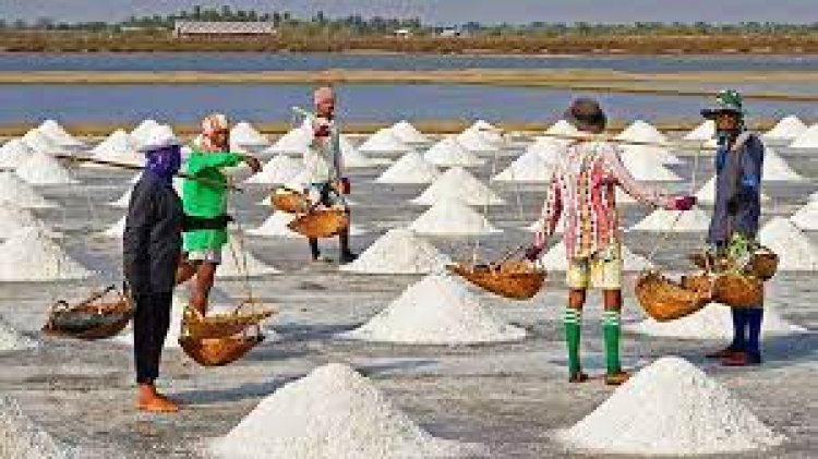 রেকর্ড উৎপাদনের বছরেও লবণ আমদানি