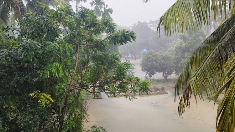বরিশালে ১১৬ মিলিমিটার বৃষ্টিপাত, তলিয়ে গেছে সড়ক