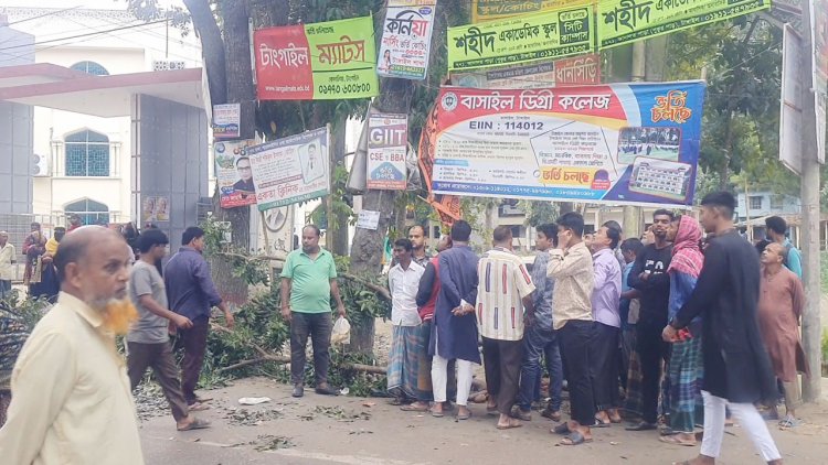 ঝোড়ো বাতাসে গাছের ডাল ভেঙে প্রাণ গেল ব্যবসায়ীর