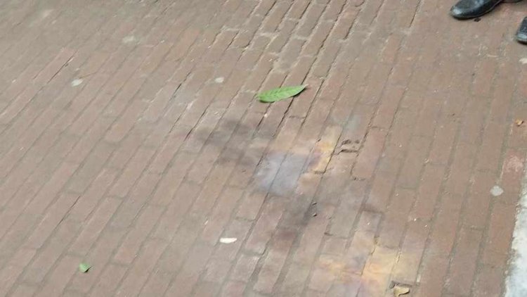 আদালতে ককটেল বিস্ফোরণের ঘটনায় মামলা