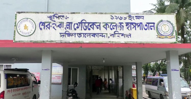 বরিশালে ডেঙ্গুতে ২ নারীর মৃত্যু, শনাক্ত ৮৯