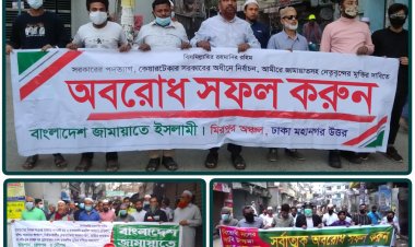 সরকার রাজনৈতিক ভিক্ষুকদের মাধ্যমে চরদখলের আয়োজন করেছে: জামায়াত 