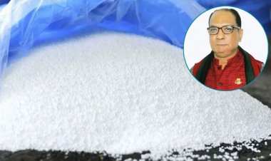 ৭২ হাজার টন সার আত্মসাৎ : আত্মসমর্পণ করে জামিন চাইলেন পোটনসহ ৫ জন