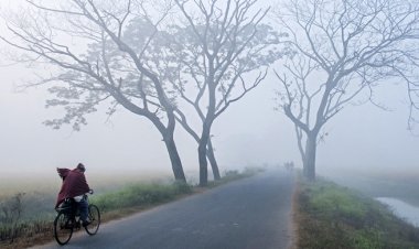 শুক্রবার থেকে জেঁকে বসতে পারে শীত
