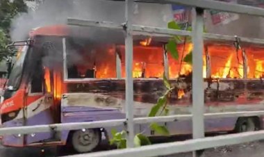 বৃষ্টির মধ্যেই শাহবাগে বাসে আগুন দিল দুর্বৃত্তরা