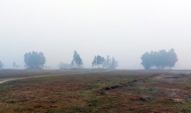 পঞ্চগড়ে ১৮ দশমিক ৩ ডিগ্রি সেলসিয়াস তাপমাত্রা রেকর্ড
