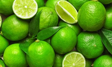 প্রতিদিন লেবু খান? জেনে নিন শরীরে কী ঘটে