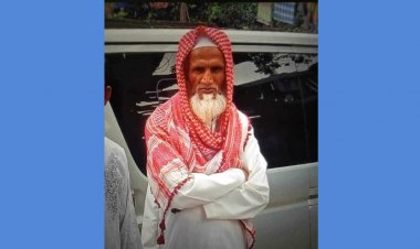 মোবাইলে কথা বলতে বলতে ফেরি থেকে নদীতে পড়ে নিখোঁজ বৃদ্ধ