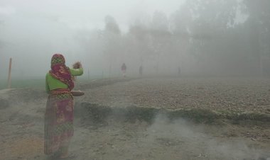 জেঁকে বসেছে শীত, ঘন কুয়াশায় আবৃত পঞ্চগড়