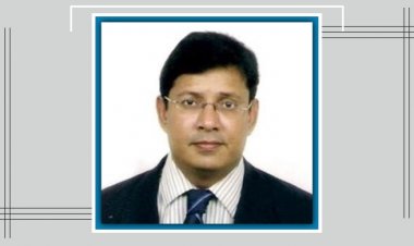  ইন্দোনেশিয়ায় বাংলাদেশের নতুন রাষ্ট্রদূত তরিকুল ইসলাম