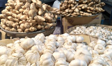 পেঁয়াজের পর ছুটছে আদা-রসুন