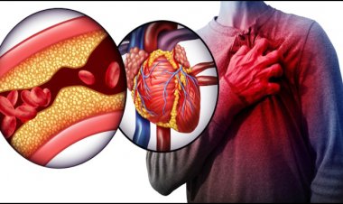 শরীরে যে ৫ পুষ্টির অভাবে হতে পারে হার্ট অ্যাটাক