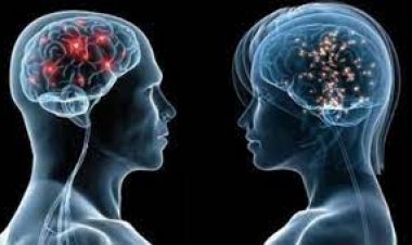 মানব মস্তিষ্কের কোষ দিয়ে তৈরি কম্পিউটার