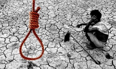 ভারতের মহারাষ্ট্রে ১০ মাসে ২৩০০ কৃষকের আত্মহত্যা