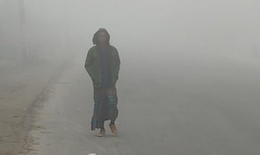 শীতে কাঁপছে কুড়িগ্রাম, তাপমাত্রা ১১ ডিগ্রি সেলসিয়াস