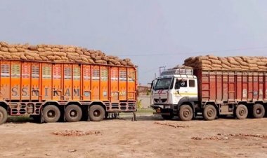 স্থলবন্দরে আটকা ভারতীয় পেঁয়াজে পচন ধরেছে