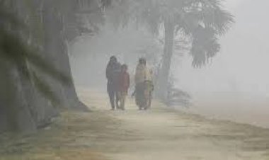 শীতে কাঁপছে ঠাকুরগাঁও, তাপমাত্রা ১১ ডিগ্রি সেলসিয়াস