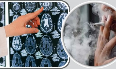 ধূমপানে বুদ্ধি কমে, বলছে গবেষণা