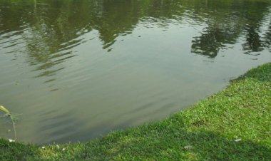 কুড়িগ্রামে পুকুরে ডুবে দুই শিশুর মৃত্যু