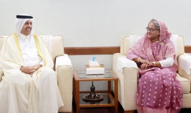 গাজায় শান্তি প্রতিষ্ঠায় ওআইসির দেশগুলোকে এক হওয়া উচিত: প্রধানমন্ত্রী