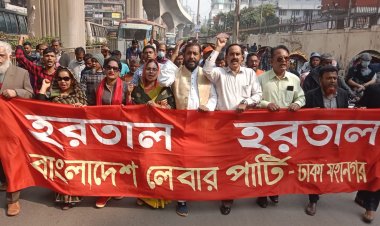 একতরফা নির্বাচনে তামাশার উৎসব করছে আওয়ামী লীগ : ডা. ইরান