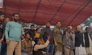 টাঙ্গাইল-৭ আসনে স্বতন্ত্র প্রার্থী মন্টুর প্রচারণায় জনতার ঢল