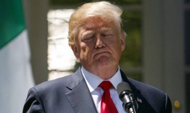 ট্রাম্পকে নির্বাচনের অযোগ্য ঘোষণা