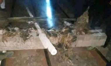 এবার দিনাজপুরে রেল লাইনে স্লিপার তুলে নিল