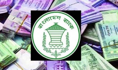 ব্যাংক খাত: বছরজুড়ে ডলার সংকট, খেলাপি ঋণে রেকর্ড