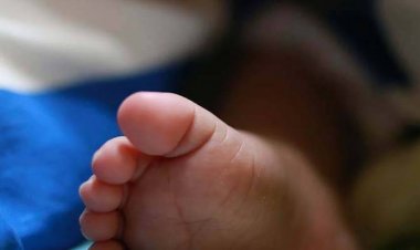  নিখোঁজের তিনদিন পর পুকুরে ভেসে উঠলো শিশুর মরদেহ