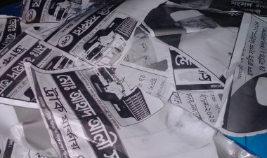 নাটোরে স্বতন্ত্র প্রার্থীর পোস্টার ছেঁড়ার অভিযোগ