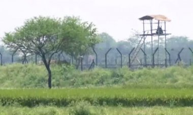 গোদাগাড়ী সীমান্তে মিলল দুই যুবকের মরদেহ  