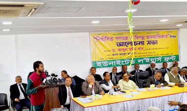  এই নির্বাসিত গণতন্ত্রের জন্য ৩০ লাখ মানুষ জীবন দেয়নি: নুর