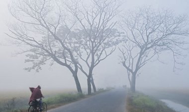 রাতের তাপমাত্রা ২ ডিগ্রি কমার আভাস