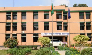 মেহেরপুর জেলা বিএনপির দুই নেতাসহ আটক ১০