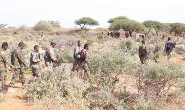 সোমালিবাহিনীর অভিযানে ১৩০ আল-শাবাব সদস্য নিহত