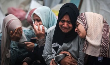 গাজায় হামলা আরও বাড়িয়েছে ইসরায়েল, ২৪ ঘণ্টায় নিহত ২৫০